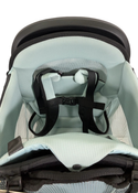 Shop Thule Sapling Child Carrier, Black at GoodBuy Gear