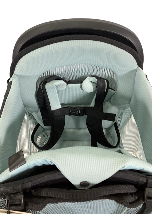 Shop Thule Sapling Child Carrier, Black at GoodBuy Gear