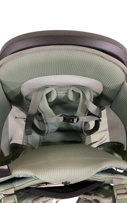 Shop Thule Sapling Child Carrier, Agave at GoodBuy Gear