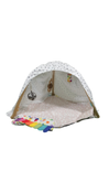 Shop Lovevery The Play Gym at GoodBuy Gear