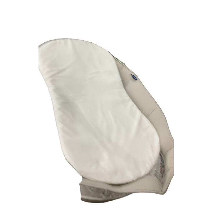 Shop Halo Bassinest Swivel Sleeper 3.0, Grey at GoodBuy Gear