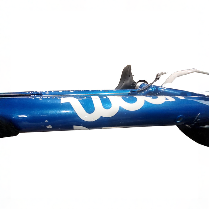 Shop Woom GO 2 Bike- 14”, Metallic Blue at GoodBuy Gear