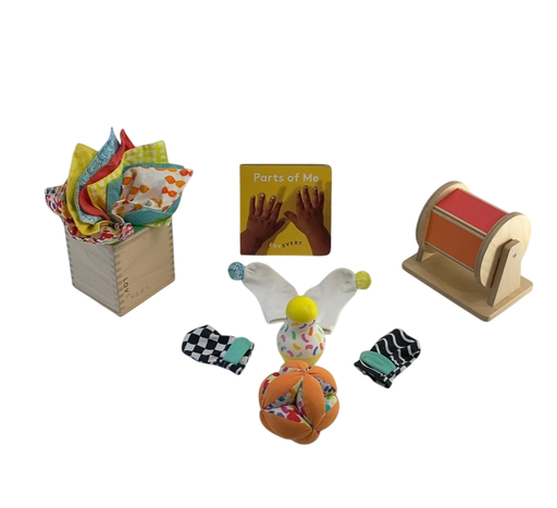 Shop Lovevery The Senser Play Kit at GoodBuy Gear