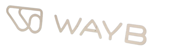 Shop WAYB Pico Portable Car Seat, 2024, Midnight Sky at GoodBuy Gear