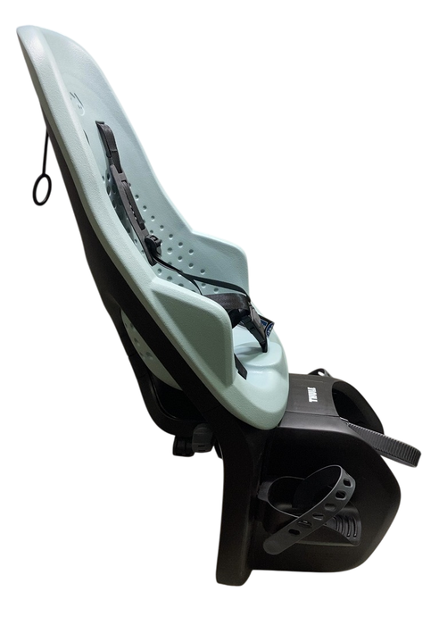 Shop Thule Yepp 2 Maxi, Alaska, Rack Mount at GoodBuy Gear