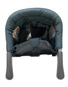 Shop Inglesina Fast Table Chair, Dark Green at GoodBuy Gear