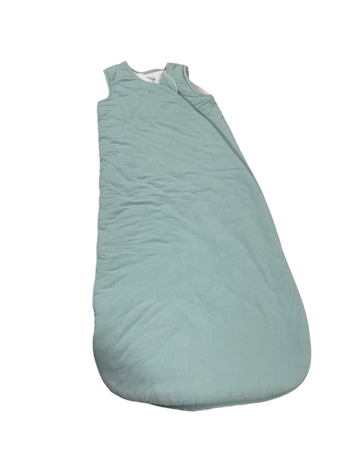 Shop Kyte Baby Sleep Bag 2.5, Medium(18-30 pounds), Sage at GoodBuy Gear