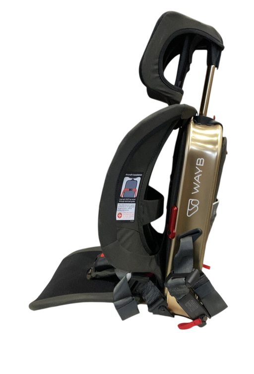 Shop WAYB Pico Portable Car Seat, 2024, Earth at GoodBuy Gear