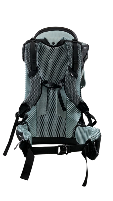 Shop Thule Sapling Child Carrier, Black at GoodBuy Gear