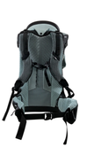 Shop Thule Sapling Child Carrier, Black at GoodBuy Gear