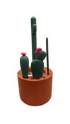 Shop Boon Cacti Bottle Cleaning Brush Set, Terracotta at GoodBuy Gear