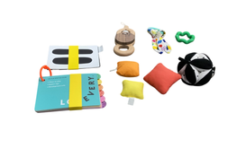 Shop Lovevery The Play Gym, Multi-Color at GoodBuy Gear