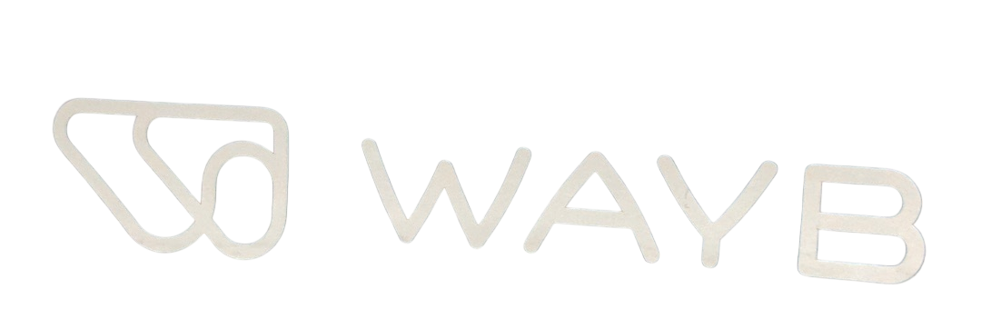 Shop WAYB Pico Portable Car Seat, 2023, Midnight Sky at GoodBuy Gear