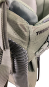 Shop Thule Sapling Child Carrier, Agave at GoodBuy Gear