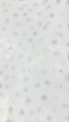 Shop Lovevery The Play Gym with Play Strands at GoodBuy Gear