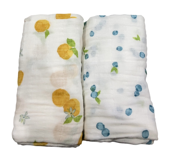 Shop Aden + Anais Large Cotton Muslin Swaddle, 2 Pack, Fresh Fruit at GoodBuy Gear