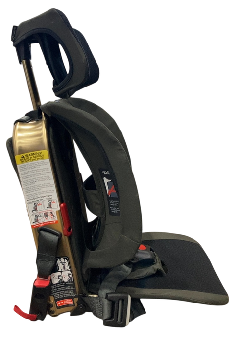 WAYB Pico Portable Car Seat Bundle, 2023, Earth, with Carry Bag