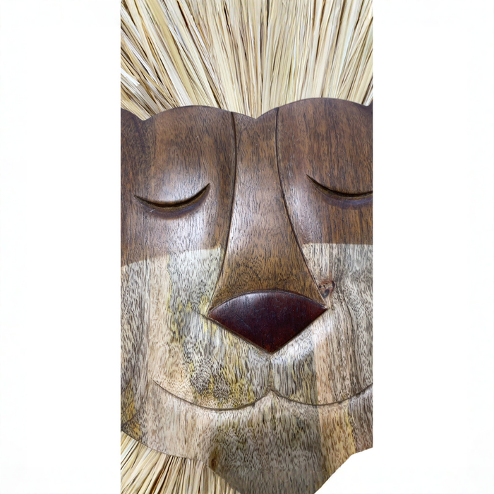 Shop Crane Baby Handcrafted Wood Wall Decor, Lion at GoodBuy Gear