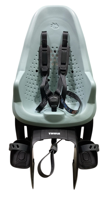 Shop Thule Yepp 2 Maxi, Alaska, Rack Mount at GoodBuy Gear