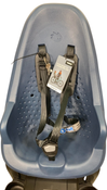 Shop Thule Yepp 2 Maxi, Majolica Blue, Rack Mount at GoodBuy Gear