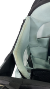 Shop Thule Sapling Child Carrier, Black at GoodBuy Gear