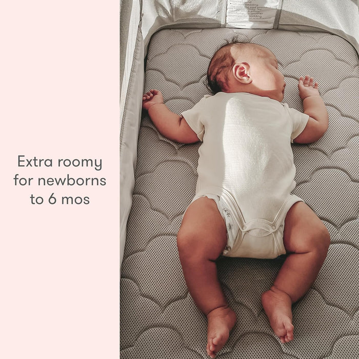 Newton Bassinet And Bedside Sleeper, Grey/Birch