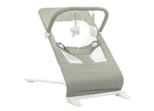 Shop Baby Delight Alpine Deluxe Portable Bouncer, Organic Sage at GoodBuy Gear