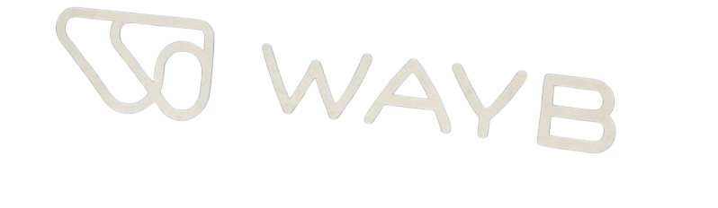 Shop WAYB Pico Portable Car Seat, 2024, Midnight Sky at GoodBuy Gear