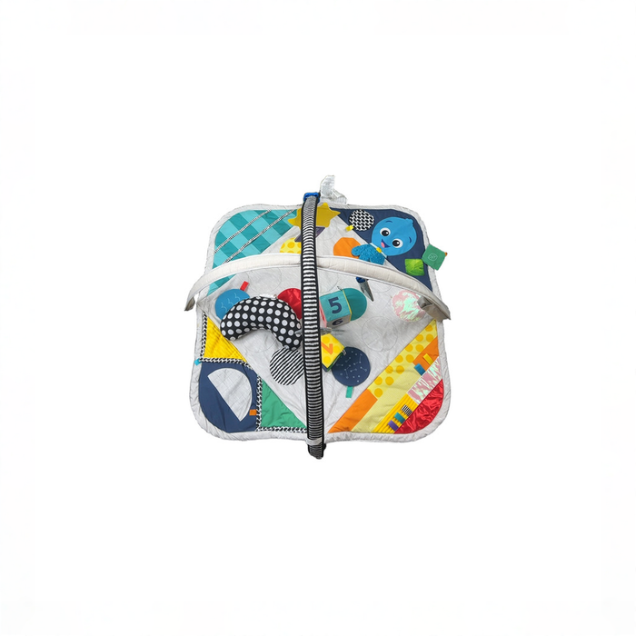 Shop Baby Einstein Sensory Play Space Newborn-to-Toddler Discovery Gym, Newborn+ at GoodBuy Gear