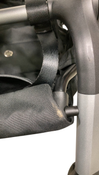 Shop Colugo Compact Stroller, 2023, Wild Child at GoodBuy Gear
