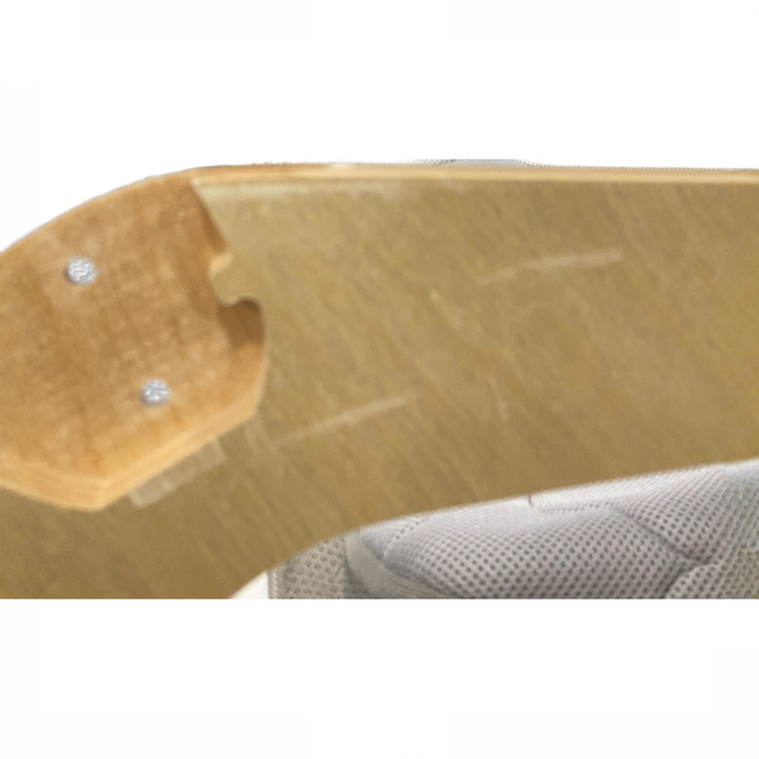 Shop Newton Bassinet And Bedside Sleeper, Grey/Birch at GoodBuy Gear