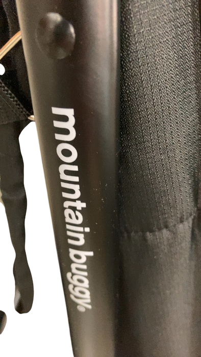 Shop Mountain Buggy Nano Duo Stroller, 2024, Black at GoodBuy Gear