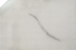 Shop DRAFT - Lalo The Chair, Coconut, Monochrome at GoodBuy Gear