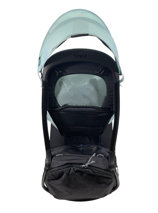 Shop Thule Sapling Child Carrier, Black at GoodBuy Gear