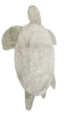 Shop Lorena Canals Washable Rug Turtle at GoodBuy Gear