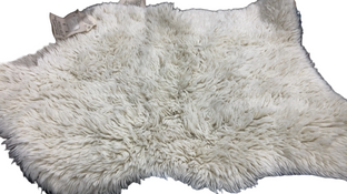 Shop Unknown Prelisting at GoodBuy Gear