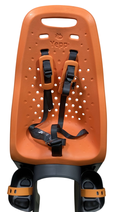 Shop Thule Yepp Maxi Child Bike Seat, Orange at GoodBuy Gear