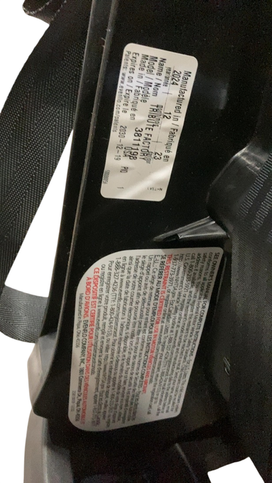 Shop Evenflo Tribute Convertible Car Seat, 2024, Saturn Gray at GoodBuy Gear