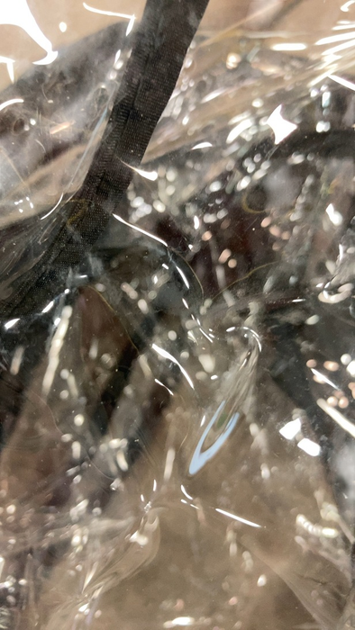 Shop Cybex PRIAM Stroller Frame And Seat, 2022, Rose Gold at GoodBuy Gear