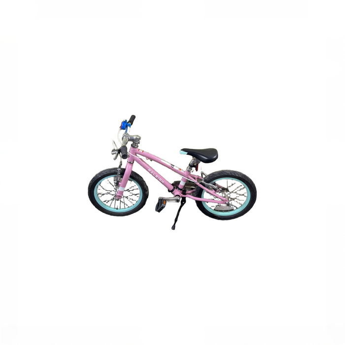 Shop Raleigh Lily 16" Kid's Bike, Pink at GoodBuy Gear