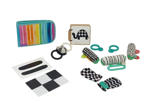 Shop Lovevery The Looker Play Kit at GoodBuy Gear