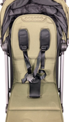 Shop Colugo Compact Stroller, 2023, Olive at GoodBuy Gear