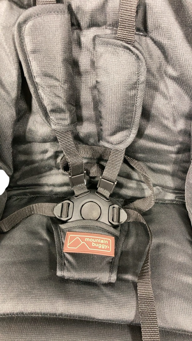 Shop Mountain Buggy Nano Stroller, 2024, Black at GoodBuy Gear