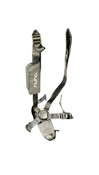 Shop Nuna TRIV Next Stroller, 2023, Caviar at GoodBuy Gear
