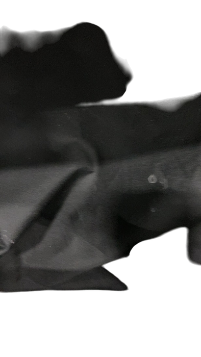 Shop Baby Jogger City Tour 2 Single Stroller, 2023, Pitch Black at GoodBuy Gear