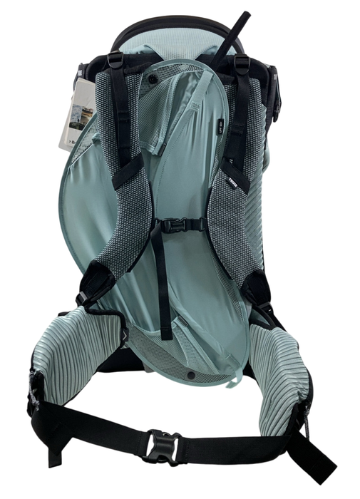 Shop Thule Sapling Child Carrier, Black at GoodBuy Gear