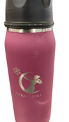Shop Ceres Chill Legacy Breastmilk Chiller (32oz), Plum at GoodBuy Gear