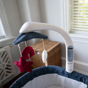 Shop TruBliss Sweetli Nurture Bassinet at GoodBuy Gear