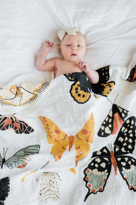 Shop Clementine Kids Butterfly Collector Swaddle at GoodBuy Gear