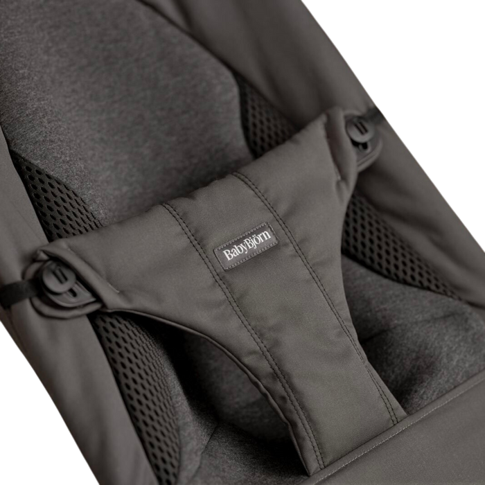 Babybjorn Bouncer Balance Soft, Light Sage and Gray